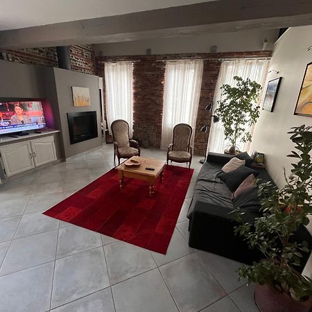 Magnifique Maison Toulousaine Toulouse Eksteriør bilde