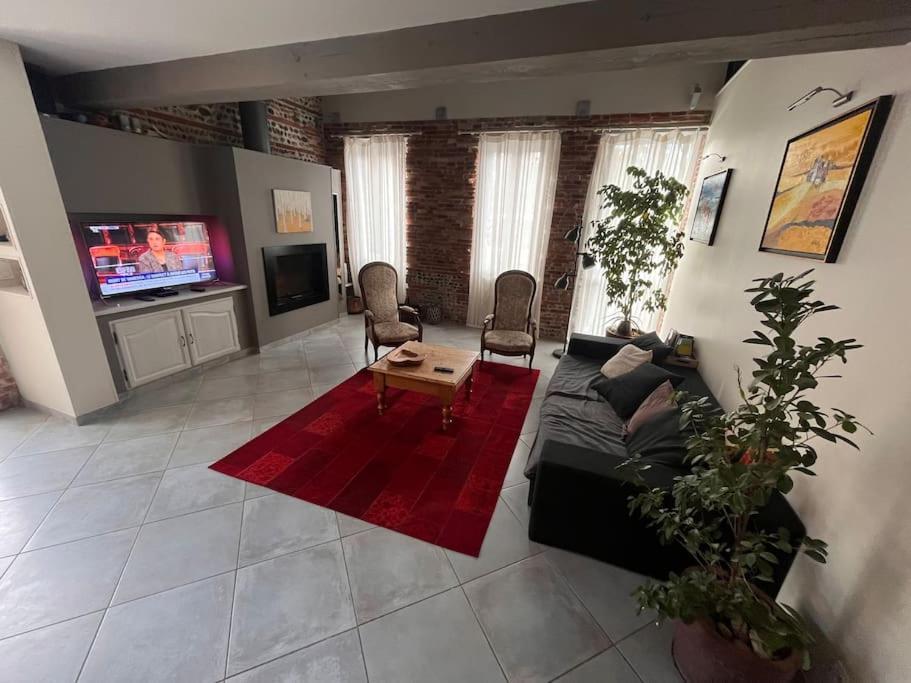 Magnifique Maison Toulousaine Toulouse Eksteriør bilde