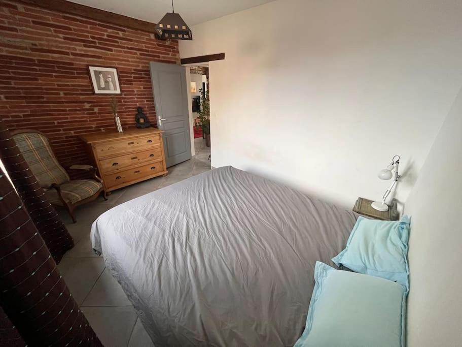 Magnifique Maison Toulousaine Toulouse Eksteriør bilde