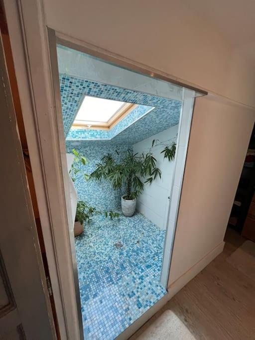 Magnifique Maison Toulousaine Toulouse Eksteriør bilde