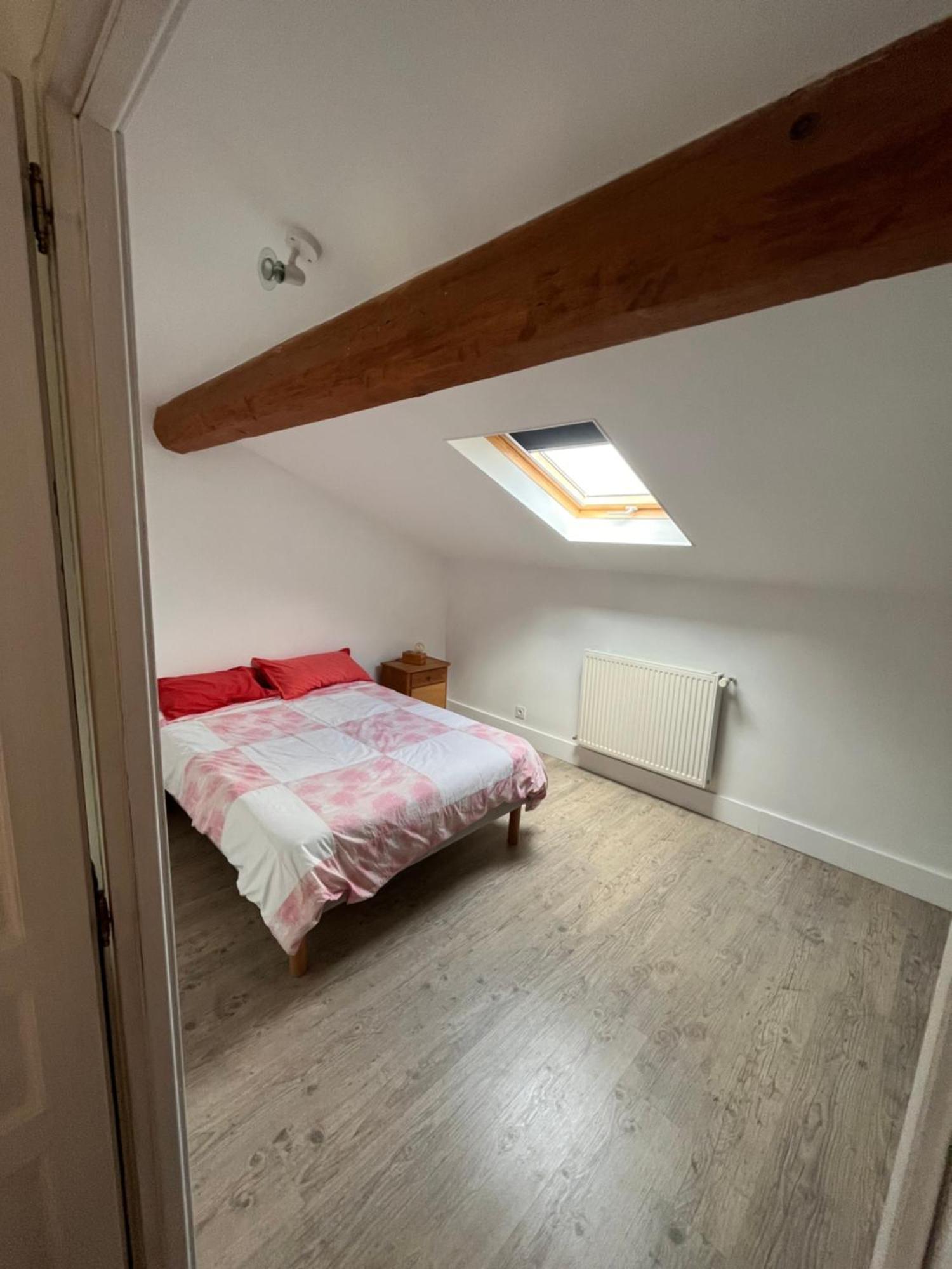 Magnifique Maison Toulousaine Toulouse Eksteriør bilde